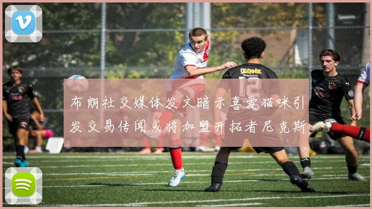 布朗社交媒体发文暗示喜爱猫咪引发交易传闻或将加盟开拓者尼克斯雷霆湖人